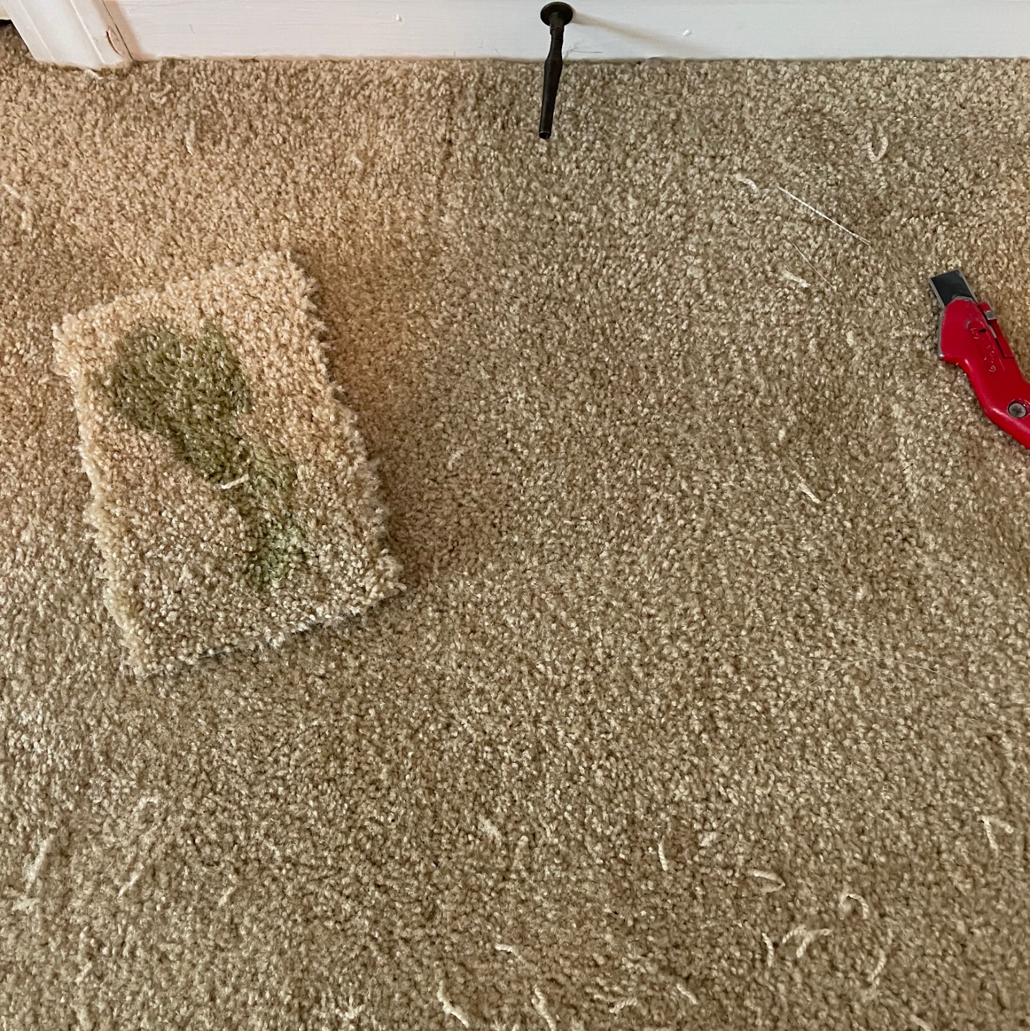 Carpet patching in progress — a stained section being cut out with a utility knife to be replaced with matching carpet