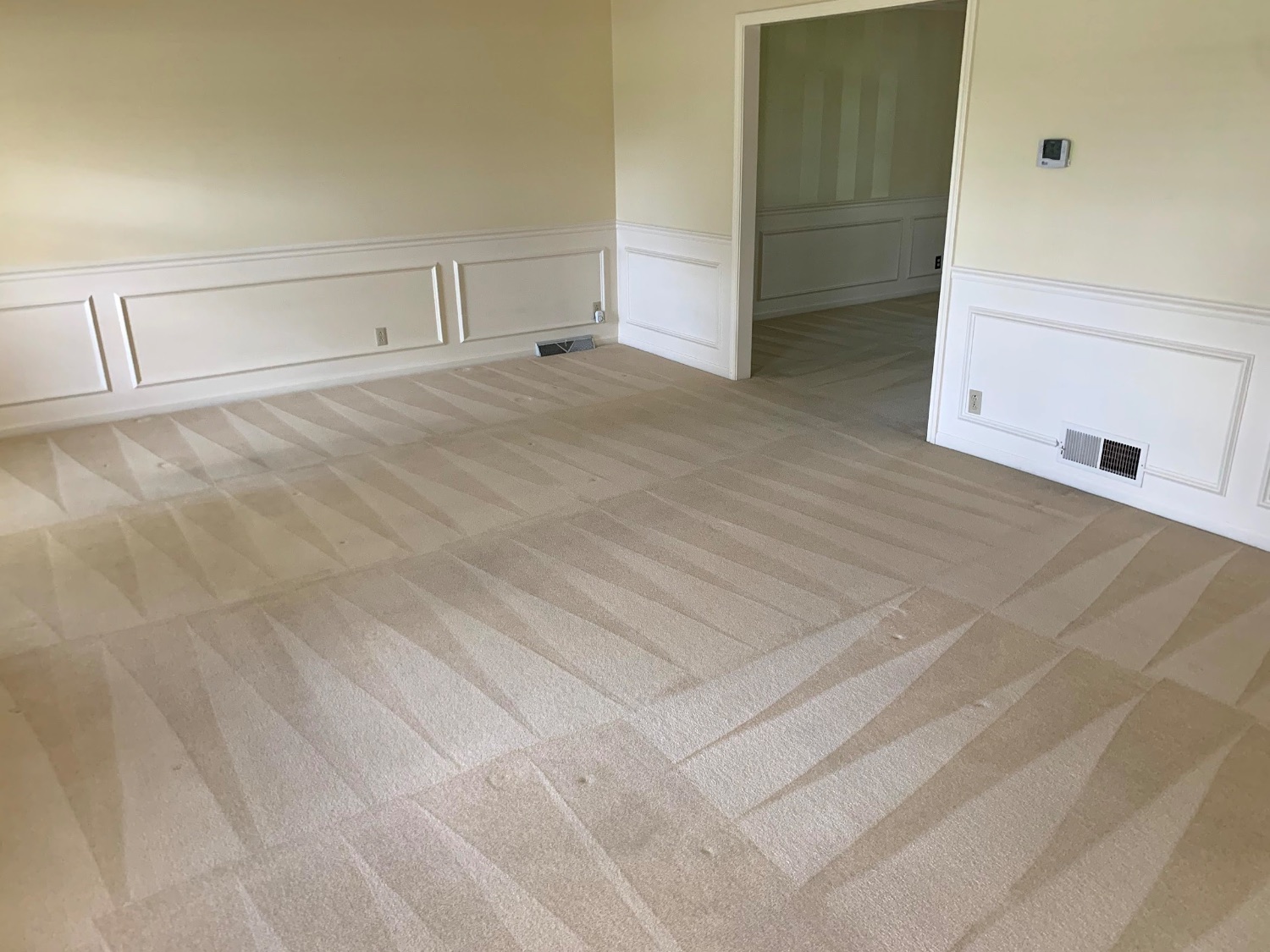 Dining room carpet after a professional clean